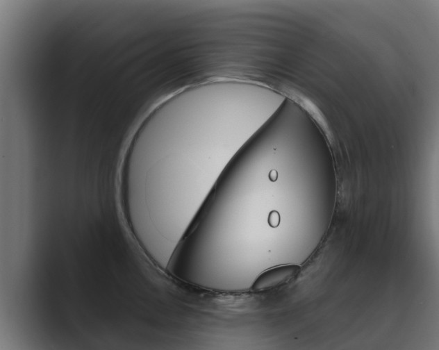 X0000089891146200706281105