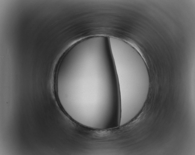 X0000089891147200706281105