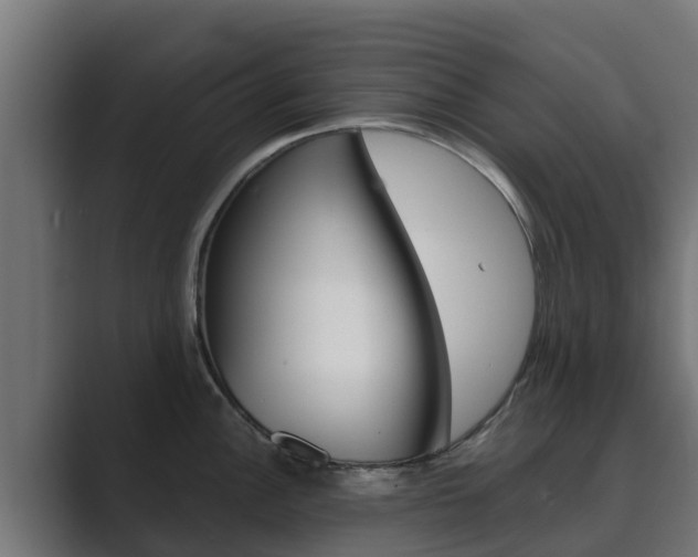 X0000089891148200706281105