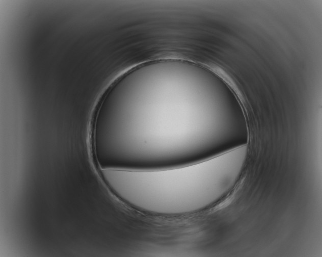X0000089891149200706281105