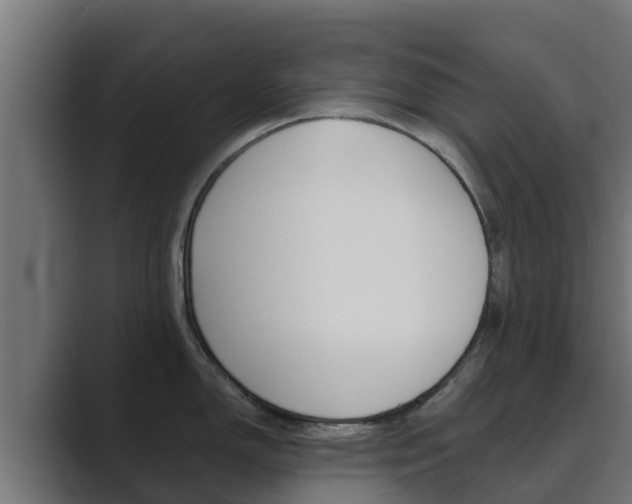 X0000089891150200706281105