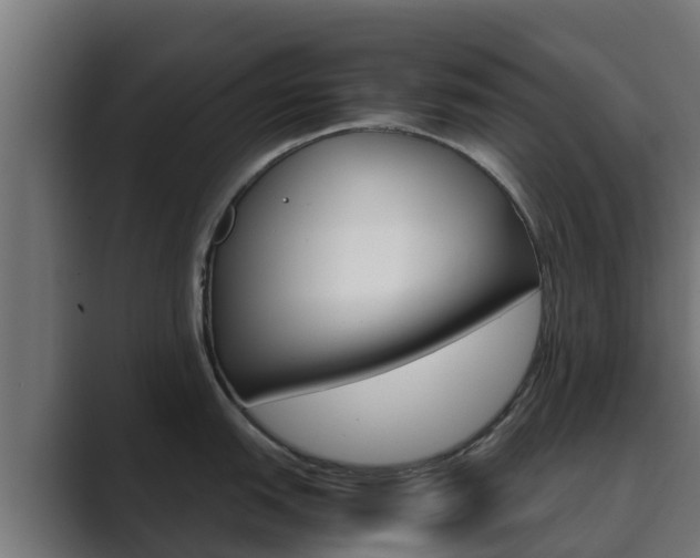X0000089891151200706281105
