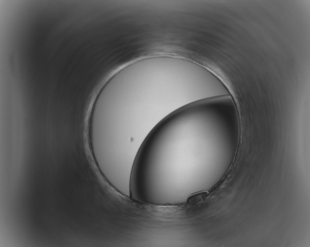 X0000089891152200706281105
