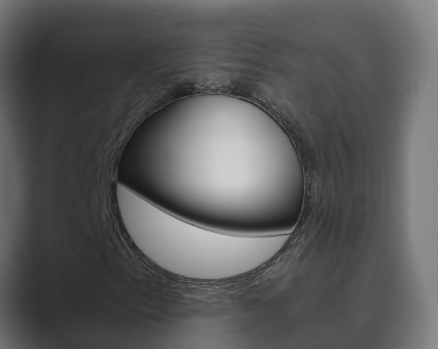 X0000089891153200706281105