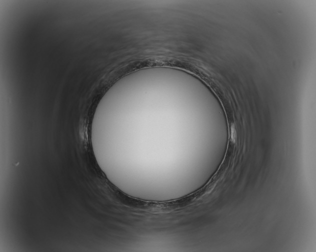 X0000089891155200706281105