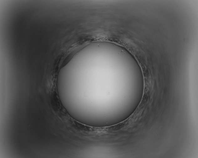 X0000089891157200706281105