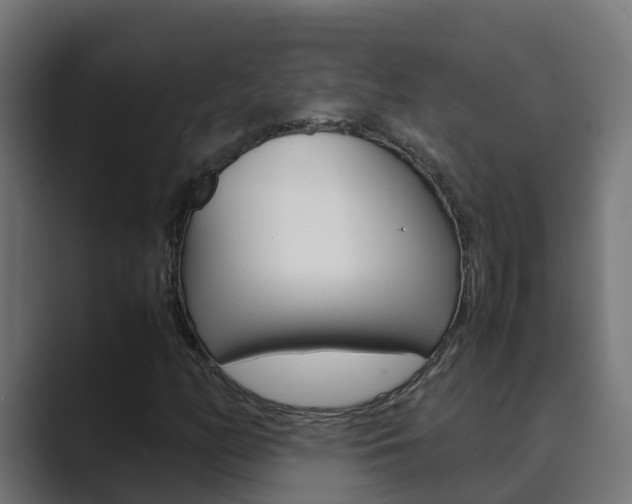 X0000089891158200706281105
