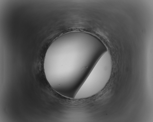 X0000089891159200706281105