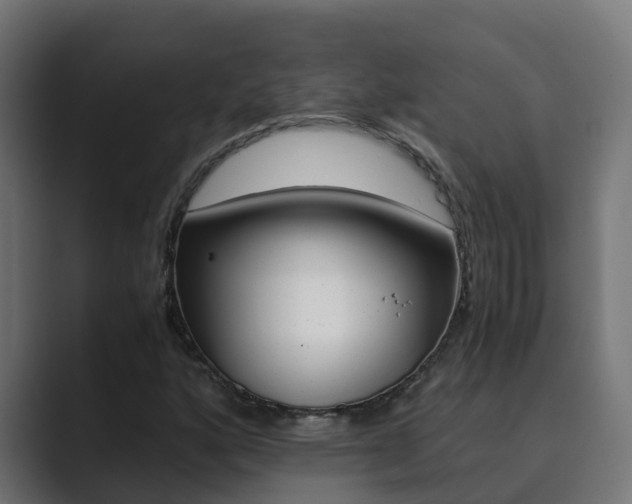 X0000089891160200706281105