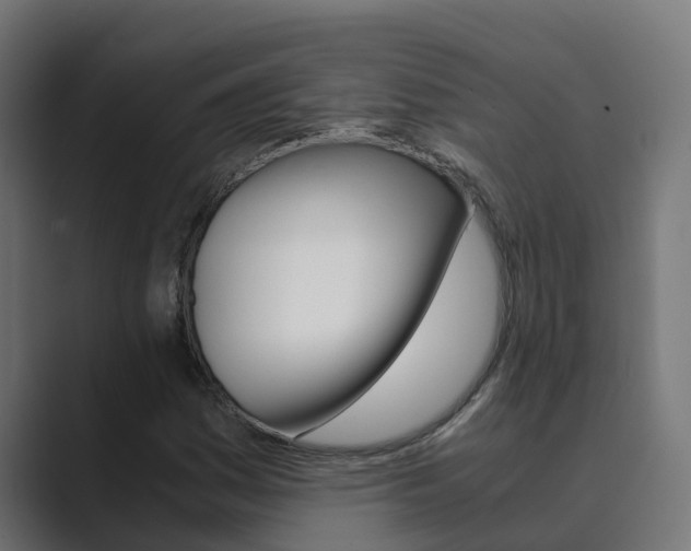 X0000089891161200706281105