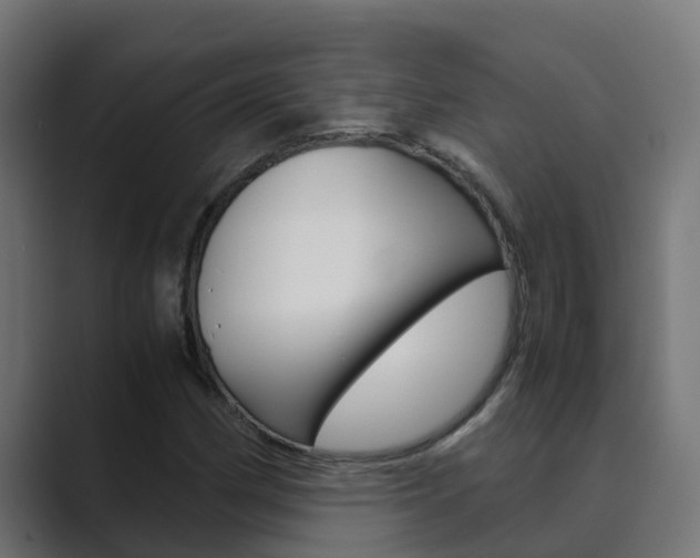 X0000089891162200706281105