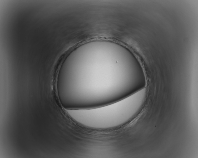 X0000089891165200706281105
