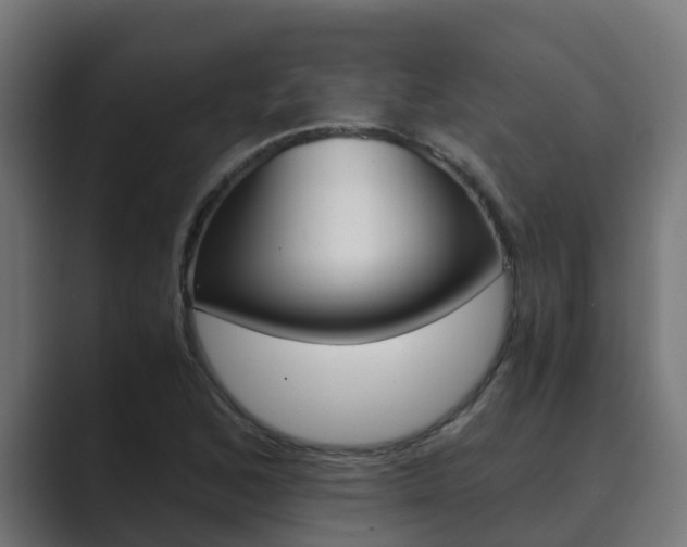 X0000089891168200706281104