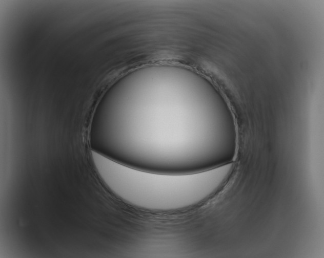 X0000089891169200706281104