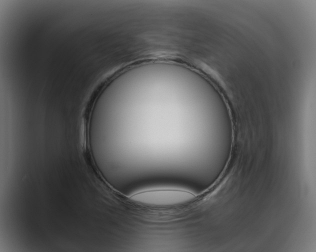 X0000089891171200706281104