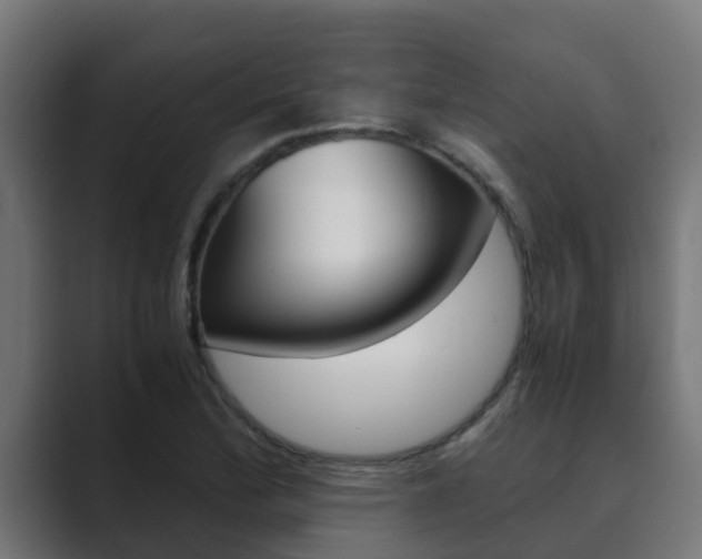 X0000089891172200706281104