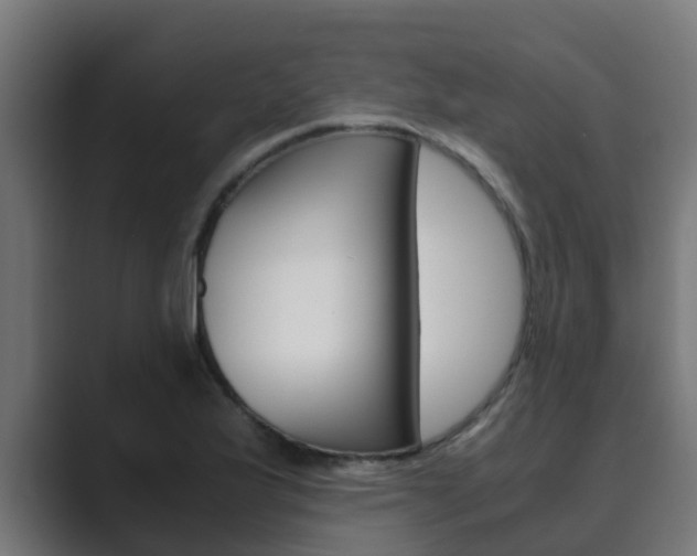 X0000089891175200706281104