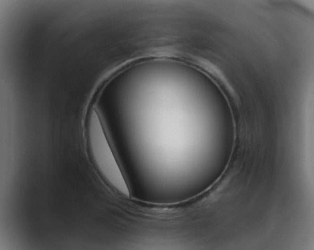 X0000089891176200706281104