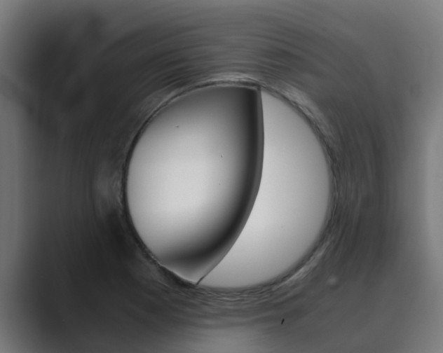 X0000089891177200706281104