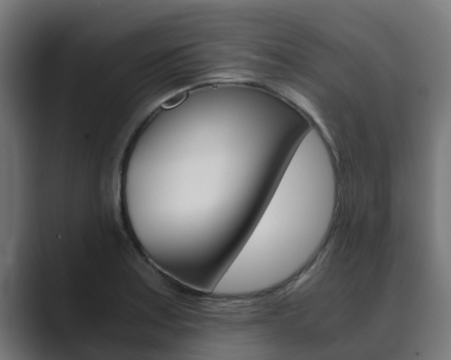 X0000089891179200706281104