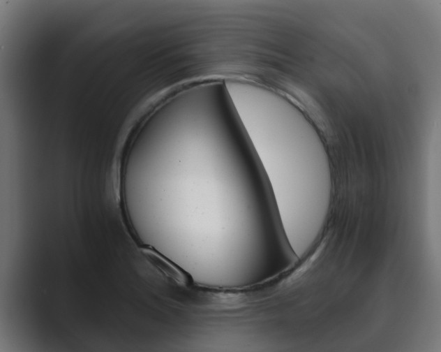X0000089891180200706281104