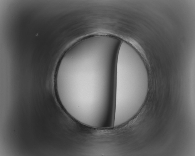 X0000089891183200706281104