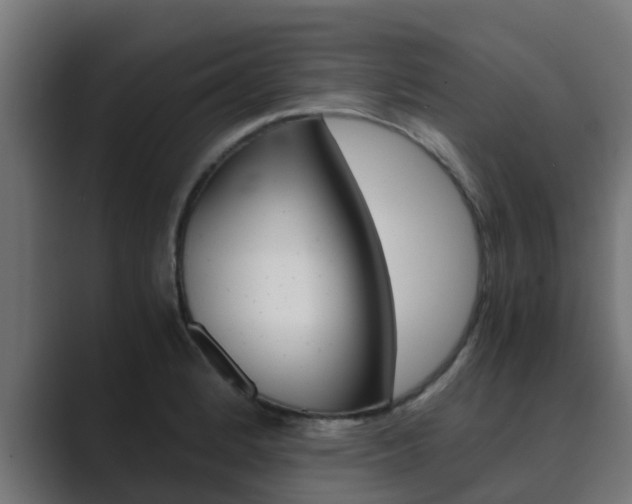 X0000089891184200706281104