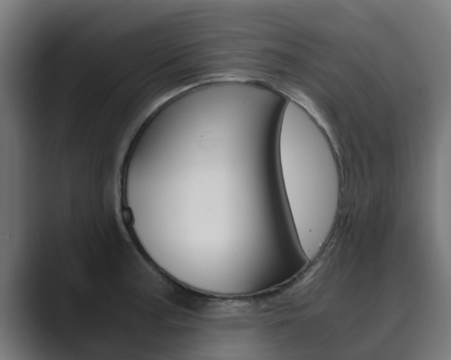 X0000089891187200706281104