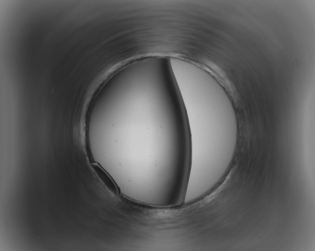X0000089891188200706281104