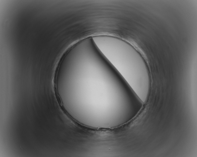 X0000089891189200706281104