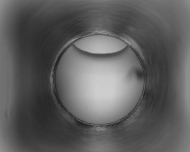 X0000089891190200706281104