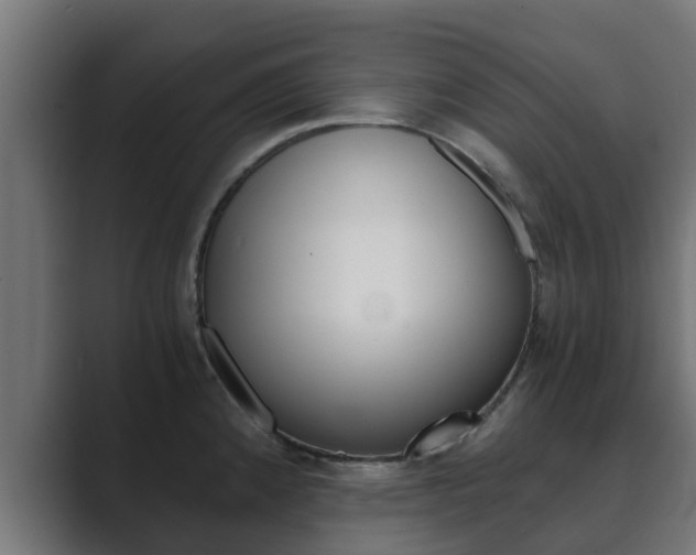 X0000089891192200706281104