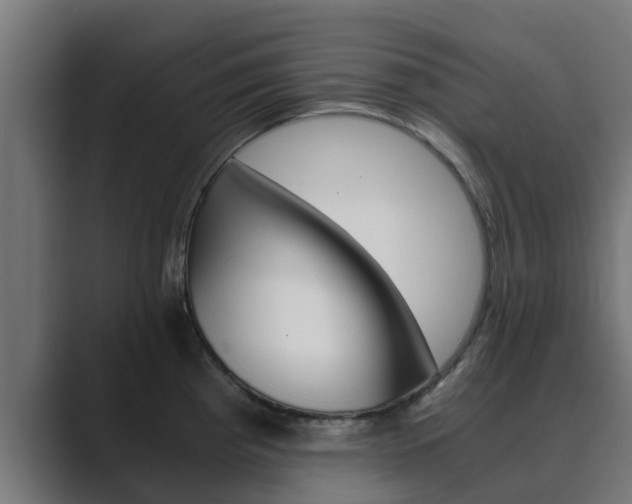 X0000089891193200706281104