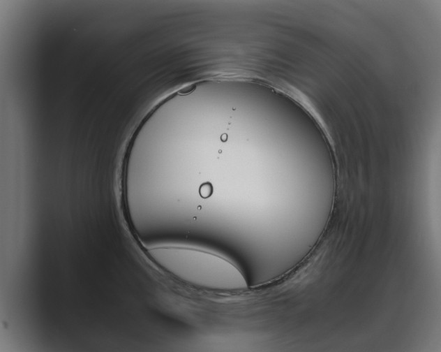 X0000089891195200706281104