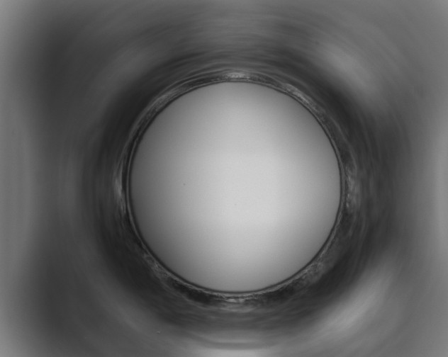 X0000089891198200706281104