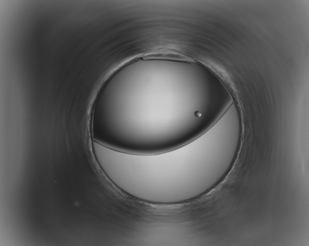 X0000089891200200706281104