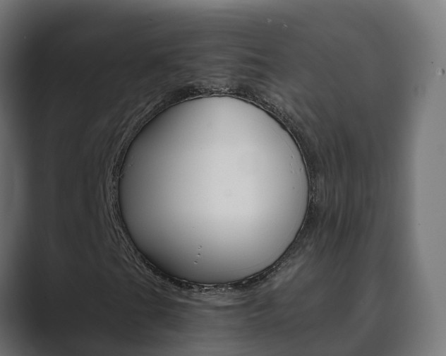 X0000089891201200706281103