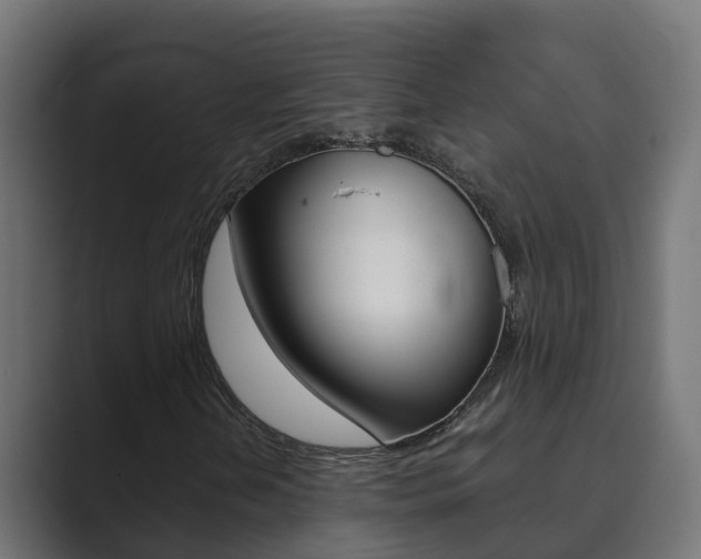 X0000089891202200706281103