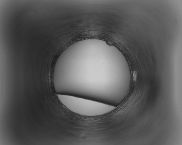 X0000089891203200706281103