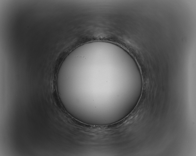 X0000089891205200706281103