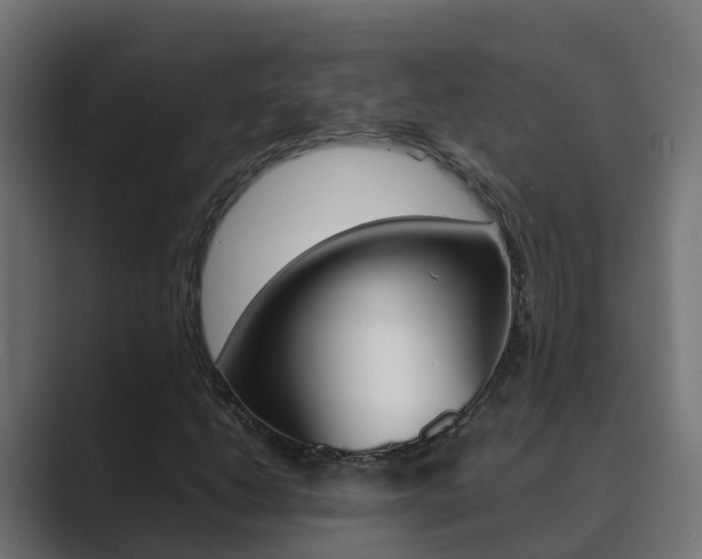 X0000089891206200706281104