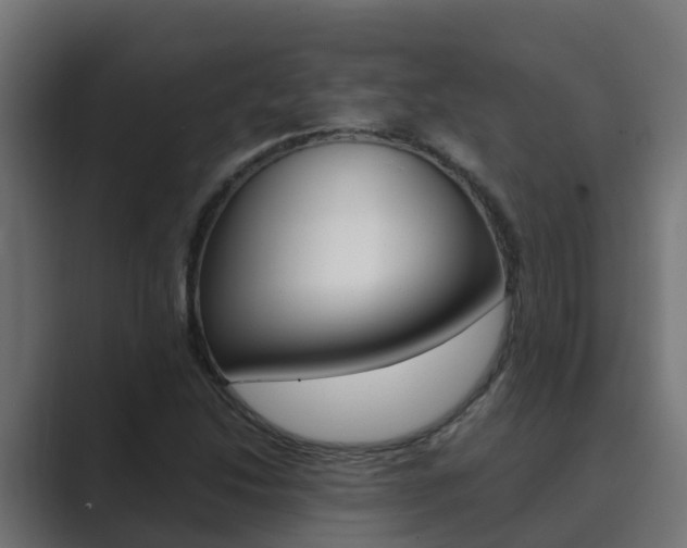 X0000089891214200706281104