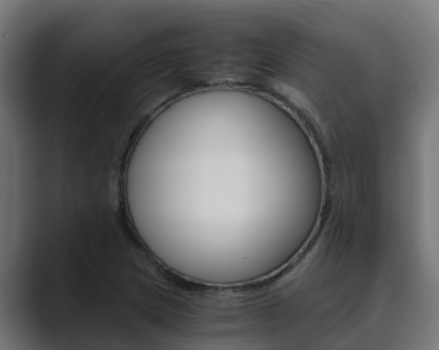 X0000089891217200706281104