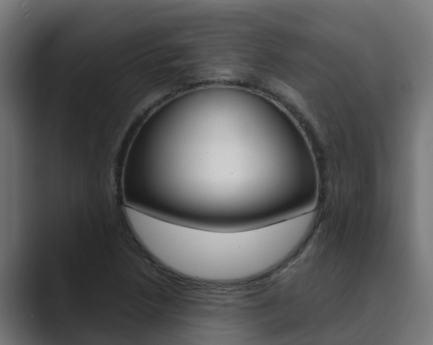 X0000089891218200706281104