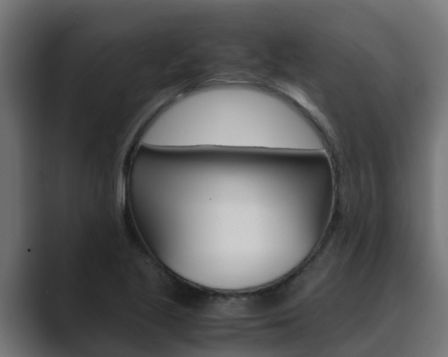 X0000089891221200706281104