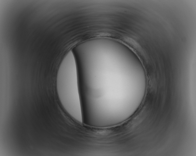 X0000089891225200706281104