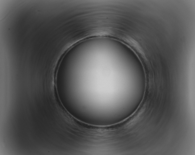 X0000089891226200706281104