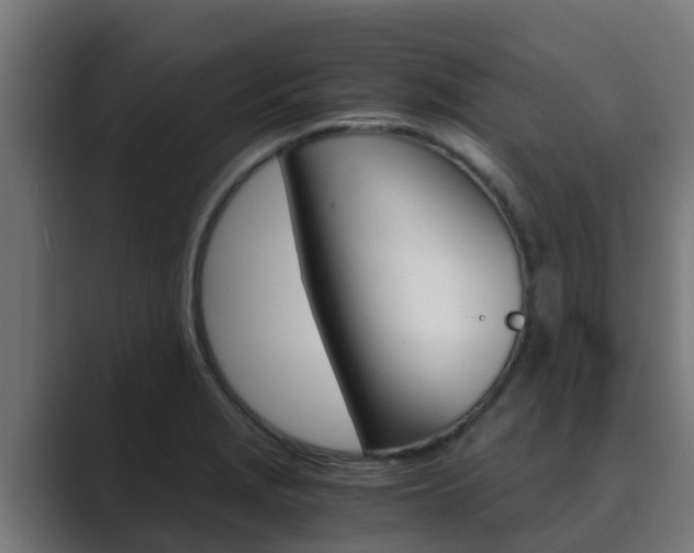 X0000089891229200706281104