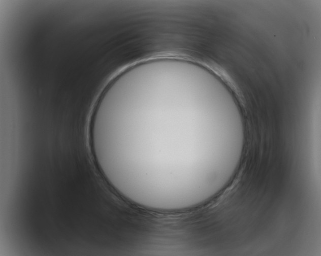 X0000089891230200706281104