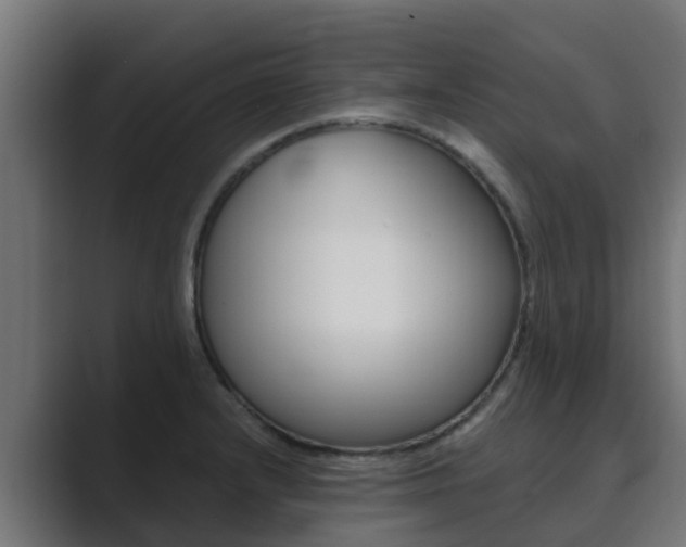 X0000089891232200706281104